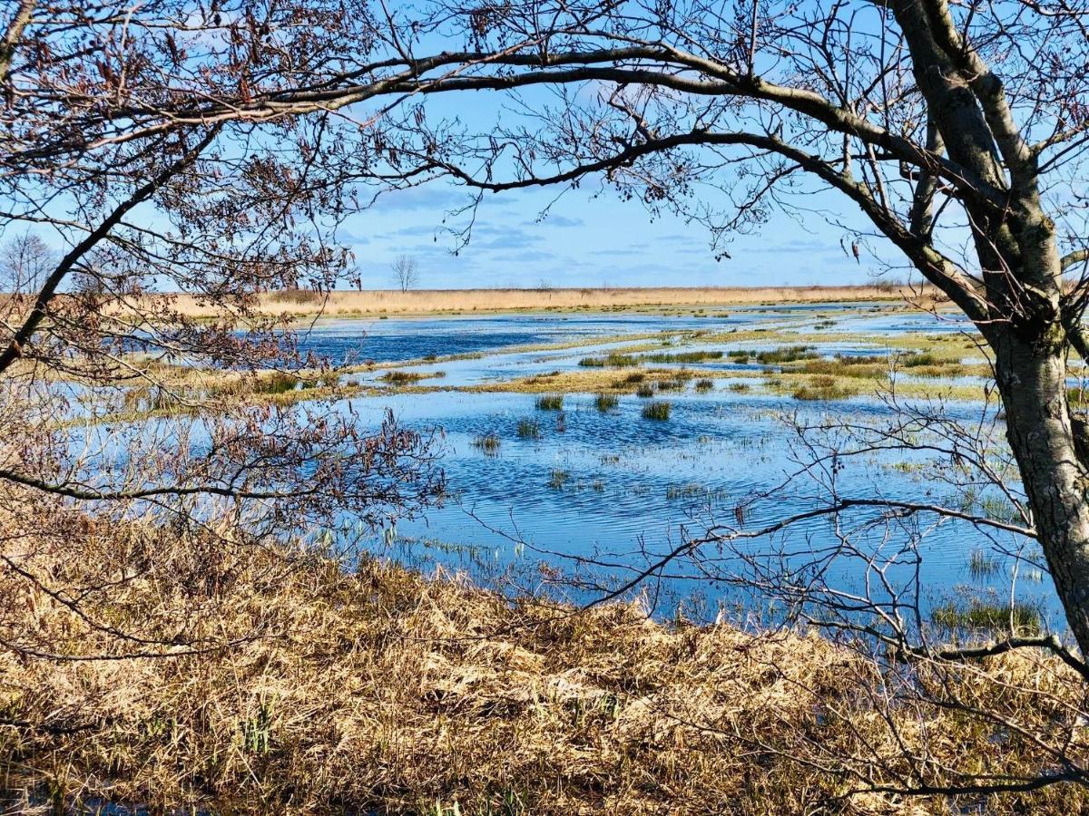 Domki I Apartamenty Caloroczne Koliber Wladyslawowo Bagian luar foto